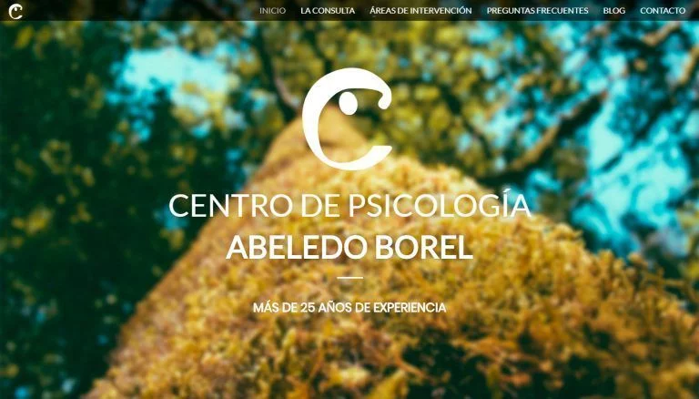Psicólogos Santiago